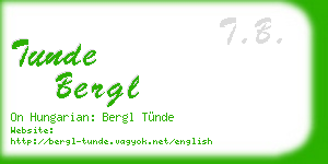 tunde bergl business card